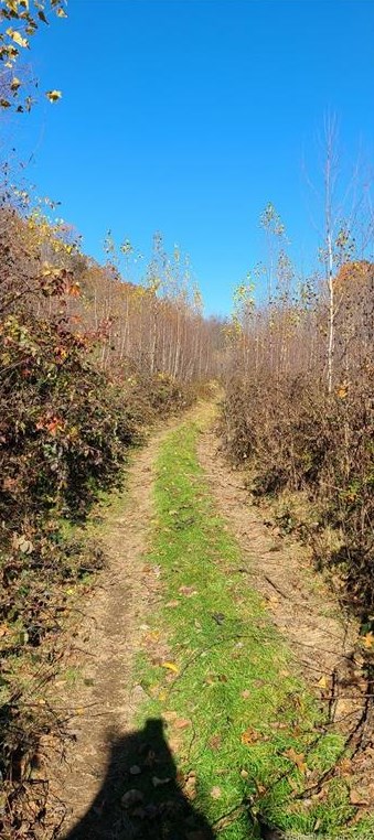 808 Br Rd, Suffield CT 06078-2321 exterior