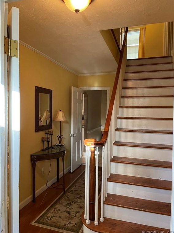 20 Curtis Dr, New Haven, CT 06515 exterior