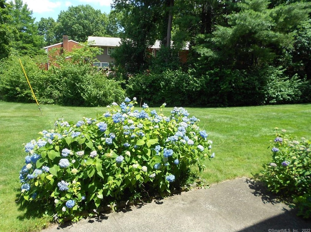 148 Centerbrook Rd, New Haven CT  06518-3402 exterior