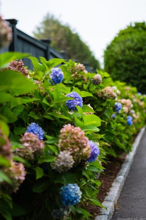 15 Bluewater Hl, Westport CT 06880-6505 exterior