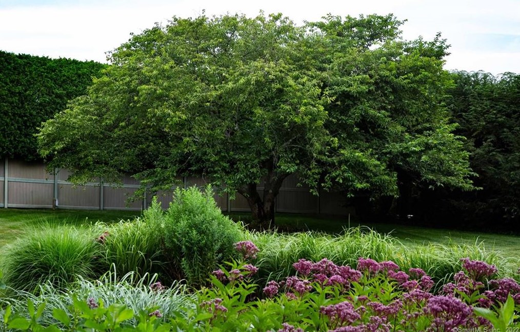 15 Bluewater Hl, Westport CT 06880-6505 exterior