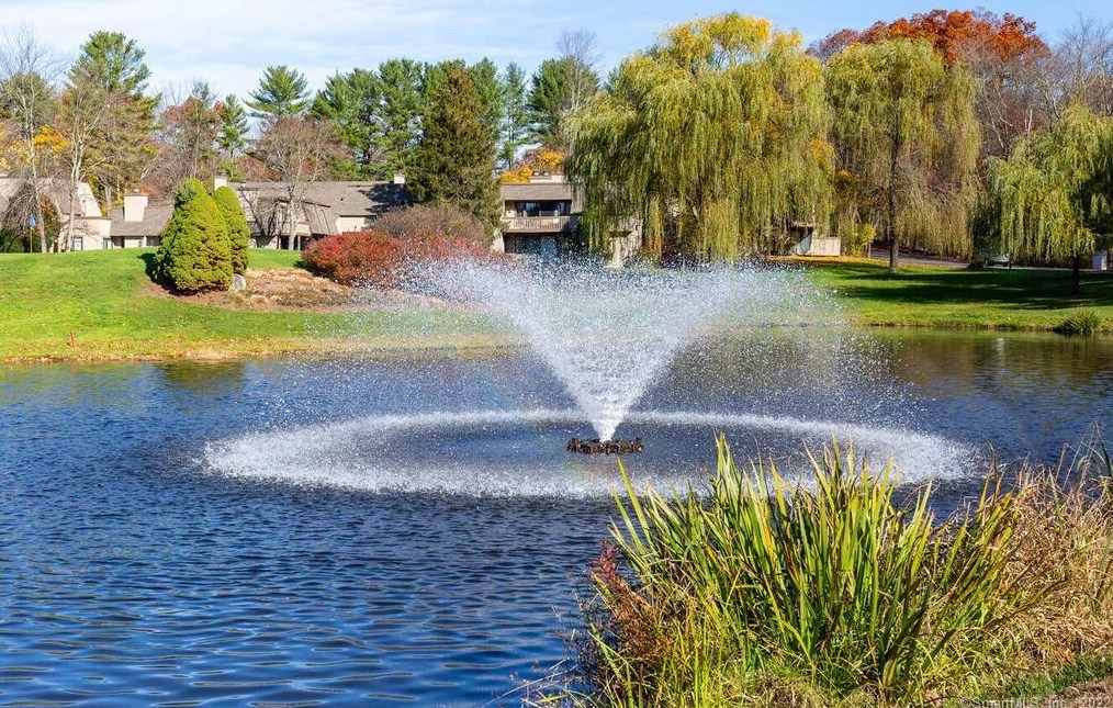 9 Great Meadow Ln #9, Avon, CT 06001