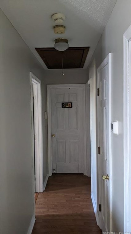 87 Spring Hill Ave, Watertown CT  06779-2359 exterior