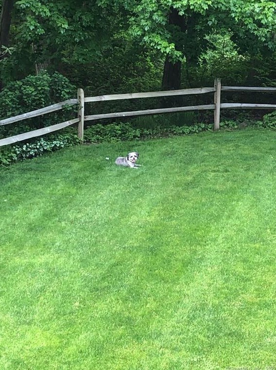 231 Bayberry Ln, Westport CT 06880-4026 exterior