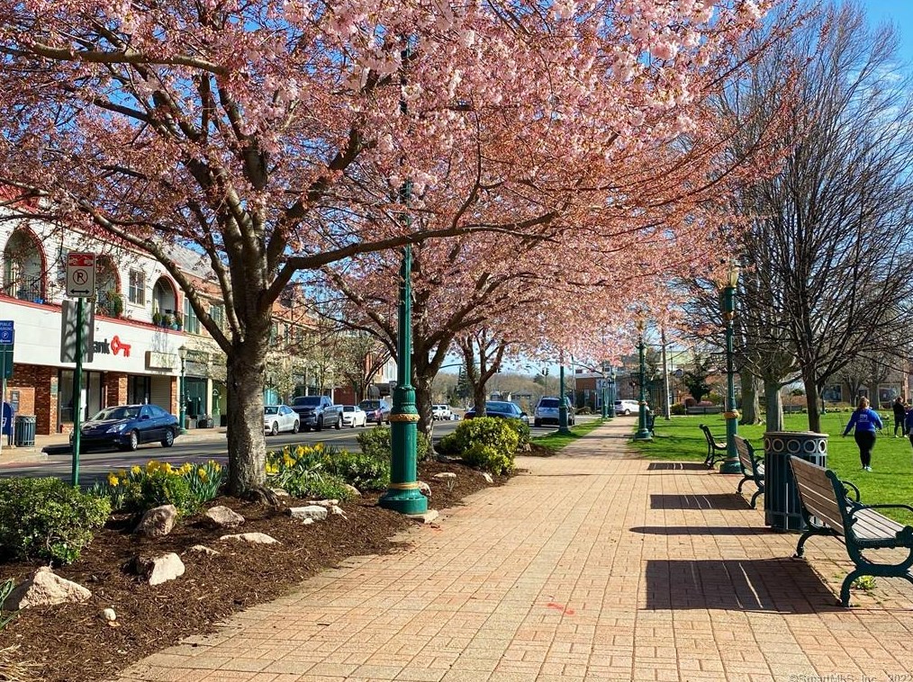 117 S Main St #2w, Branford, CT 06405