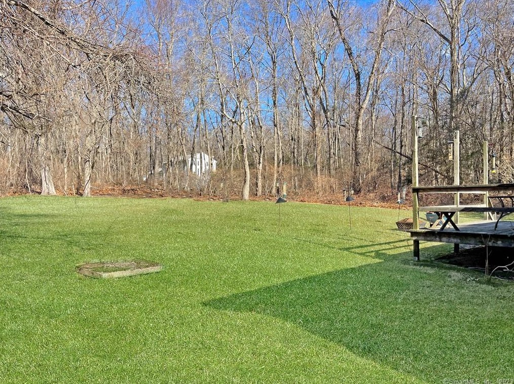 56 Mott Ln, Moodus, CT 06469