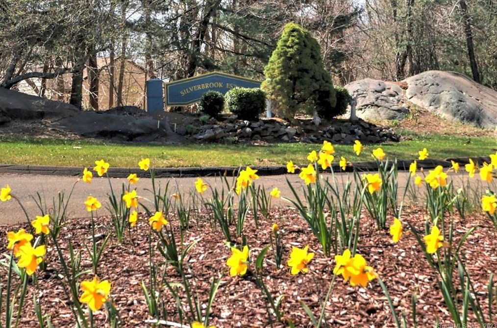 29 Red Cedar Cir, Orange CT  06477-3536 exterior
