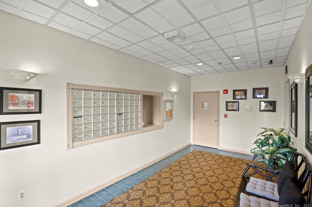 49 Rose St, Branford CT  06405-3793 exterior