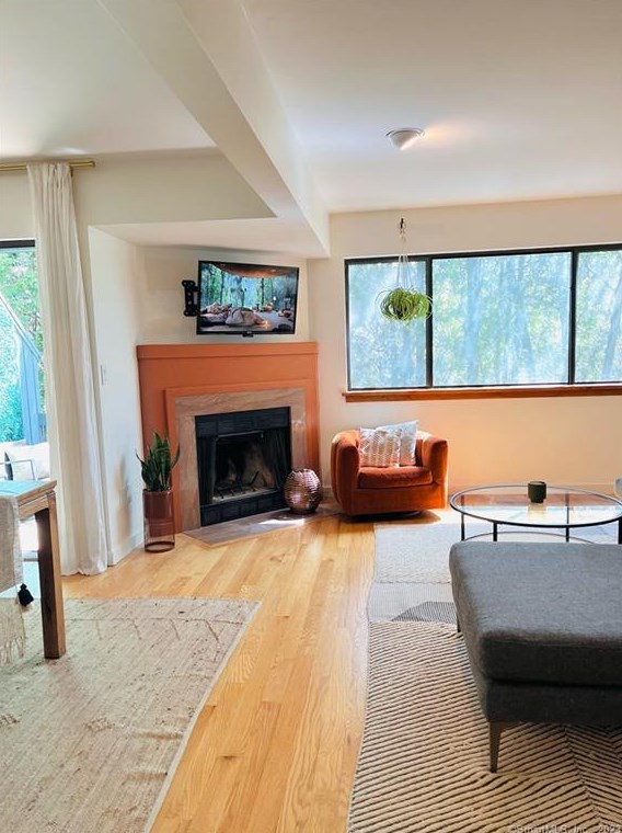 323 Pheasant Gln Unit 323, Huntington, CT
