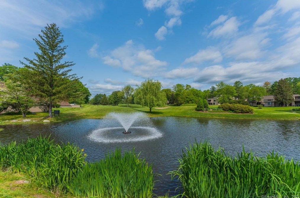 41 Great Meadow Ln #41, Farmington, CT 06032