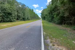 1022 Trawick Creek Rd, Holt, FL 32564 - Photo 1