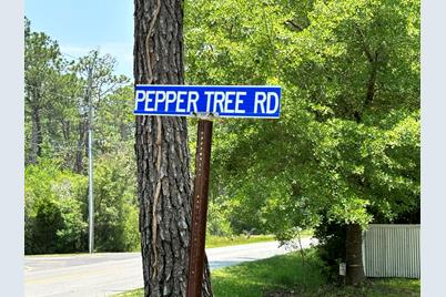 Lot 13 Pepper Tree Road - Photo 1