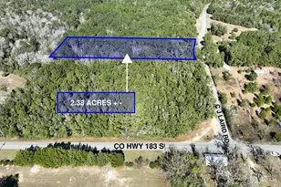 Lot 4 C J Laird Rd, Argyle, FL 32422 - Photo 1