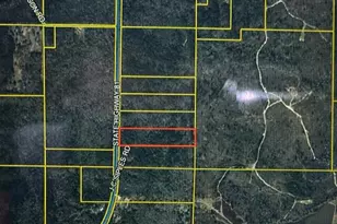 0 State Hwy 81, Ponce de Leon, FL 32455 - Photo 1