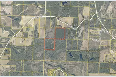 75 Acres S Jack Road S, Laurel Hill, FL 32567 - Photo 1