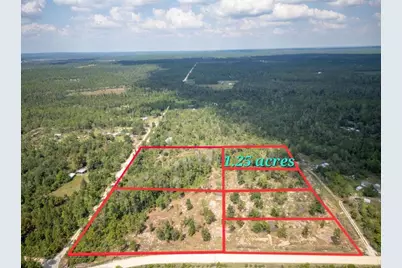 Lot 4 Lake Lillian Road, Fountain, FL 32438 - Photo 1