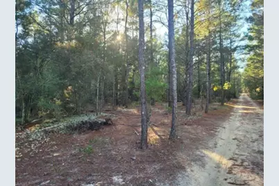 Lot 20 Blk 33 W. Black Cherry Drive, Defuniak Springs, FL 32433 - Photo 1