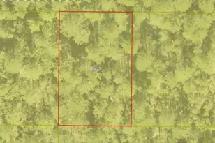 Lot 21 Blk 33 W Black Cherry Dr, Defuniak Springs, FL 32433 - Photo 1