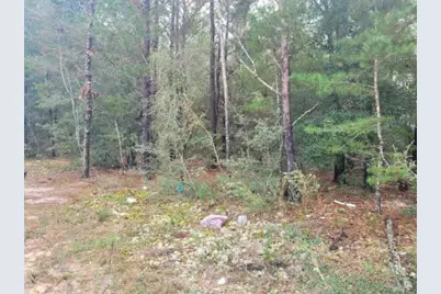 Lot 5 Blk 6 E. Violet Lane, Defuniak Springs, FL 32433 - Photo 1