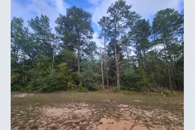 Lot 6 & 14 W May Lilly Court W, Defuniak Springs, FL 32433 - Photo 1