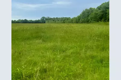 32 Acres Williams Road, Defuniak Springs, FL 32433 - Photo 1