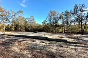 1909 Hidden Springs Dr, Baker, FL 32531 - Photo 1