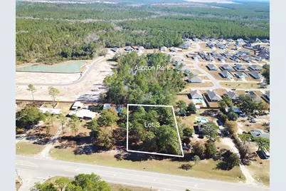 331 Business Highway, Freeport, FL 32439 - Photo 1