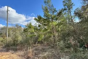 4608 Bobolink Way, Crestview, FL 32539 - Photo 1