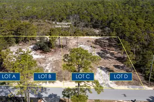 Tbd Parcel B Lee Pl Pl, Santa Rosa Beach, FL 32459 - Photo 1