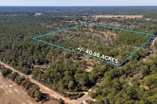 Xx Stewart Dr, Defuniak Springs, FL 32433 - Photo 1