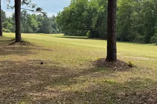 Lot 5 Olive Ln, Bonifay, FL 32425 - Photo 1