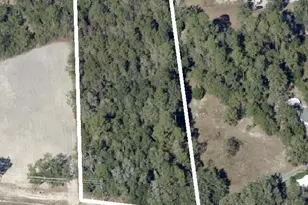 Zz St Hwy 20, Freeport, FL 32439 - Photo 1