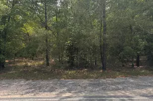 Lot 14 Blk 18 Windflower St, Defuniak Springs, FL 32433 - Photo 1