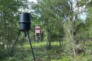 40 Ac +/- Old River Rd, Baker, FL 32531 - Photo 1