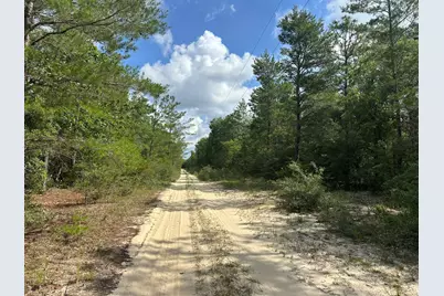 20 Ac+/- Shot Gun Trail, Crestview, FL 32539 - Photo 1