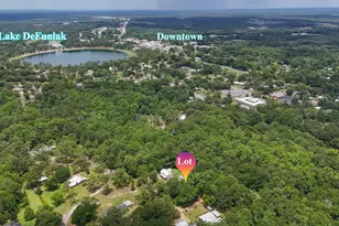 41 Ac Meadowbrook Ln, Defuniak Springs, FL 32435 - Photo 1