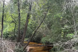 33+/- Ac Keyser Mill Rd, Baker, FL 32531 - Photo 1