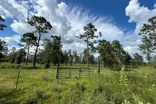 12601 E Hwy 20 E, Fountain, FL 32438 - Photo 1