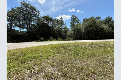 Lots 32_33 Blk 25 Trout Road Drive, Defuniak Springs, FL 32433 - Photo 1
