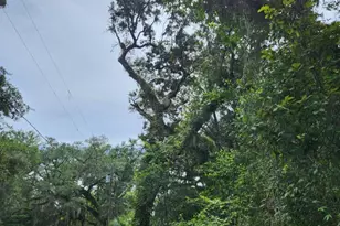 Lot 9 Sunset Trail, Freeport, FL 32439 - Photo 1