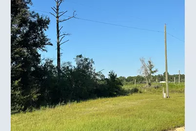 Tract#6201 W County Hwy 181, Defuniak Springs, FL 32433 - Photo 1