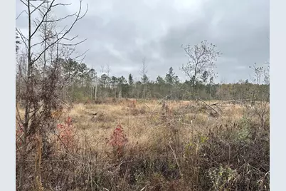 Tract#6402 S Chance Road S, Chipley, FL 32428 - Photo 1