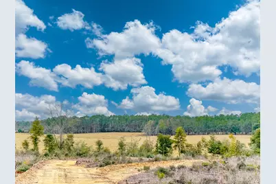 Tract#6418 Bryant Bay Road, Caryville, FL 32427 - Photo 1