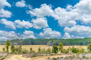 Tract#6418 Bryant Bay Rd, Caryville, FL 32427 - Photo 1