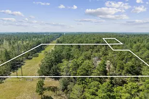10 Acres White Dog Ln, Defuniak Springs, FL 32433 - Photo 1