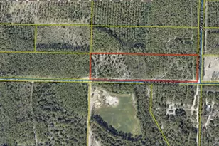 10 Acres Joe Dugger Rd, Freeport, FL 32439 - Photo 1