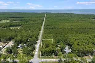 Lot 49 NE Hwy 393 & Nursery Road NE, Santa Rosa Beach, FL 32459 - Photo 1