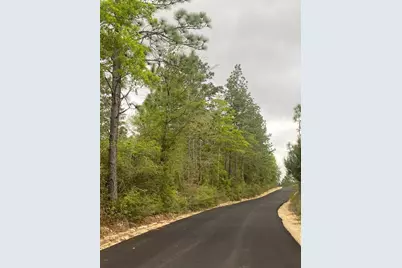 16 Acres Sherman Kennedy Rd, Baker, FL 32531 - Photo 1