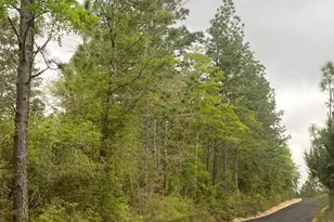 16 Acres Sherman Kennedy Rd, Baker, FL 32531 - Photo 1