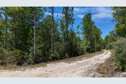 Tbd Joe Dugger Road, Freeport, FL 32439 - Photo 1